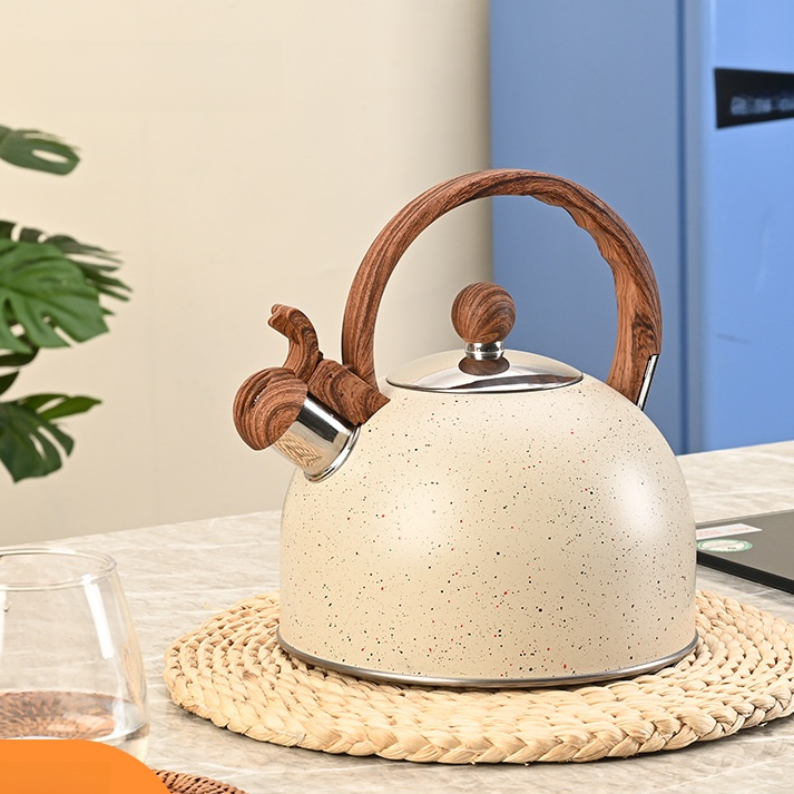 ステンレス製家庭用ケトル