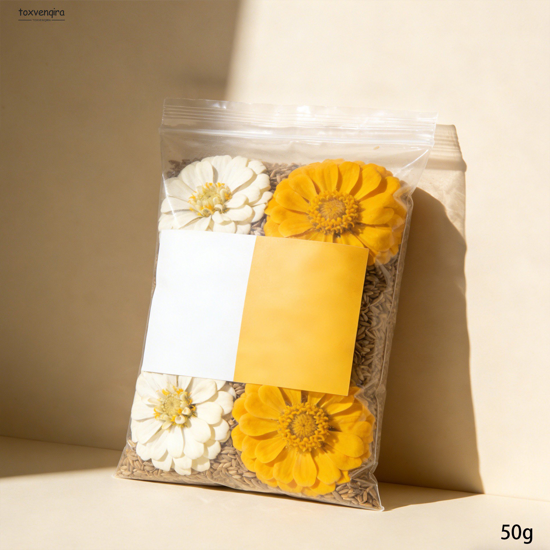 Chryzantema w domowym ogrodzie