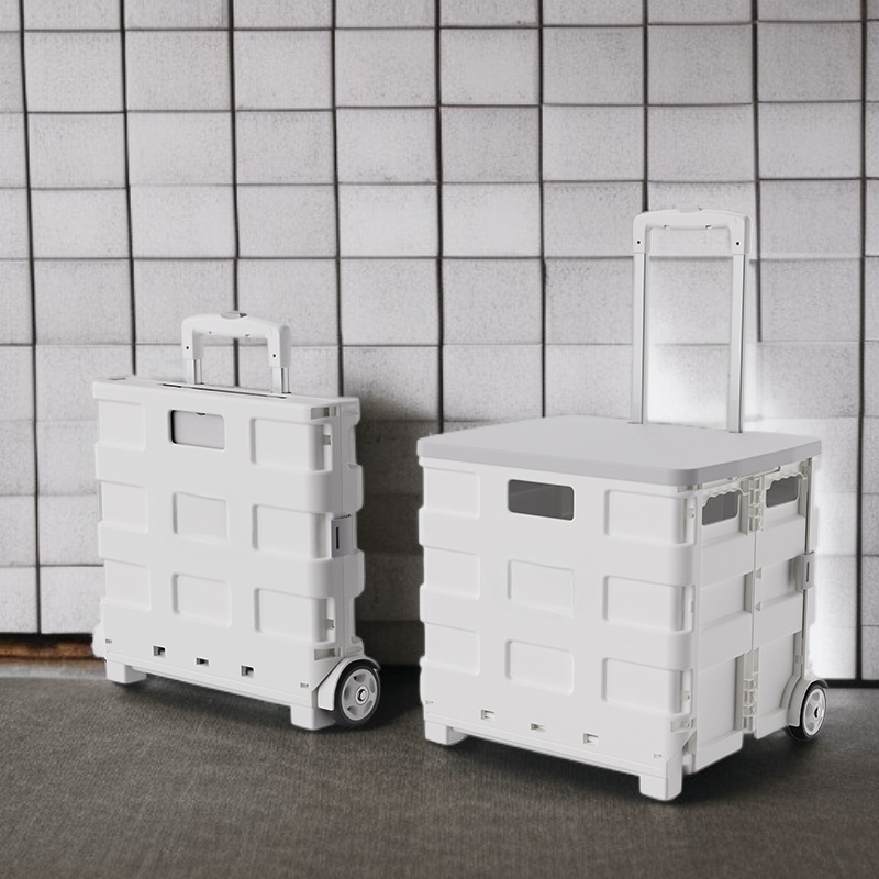 Leichter Kunststoff-Handwagen mit Ziehgriff