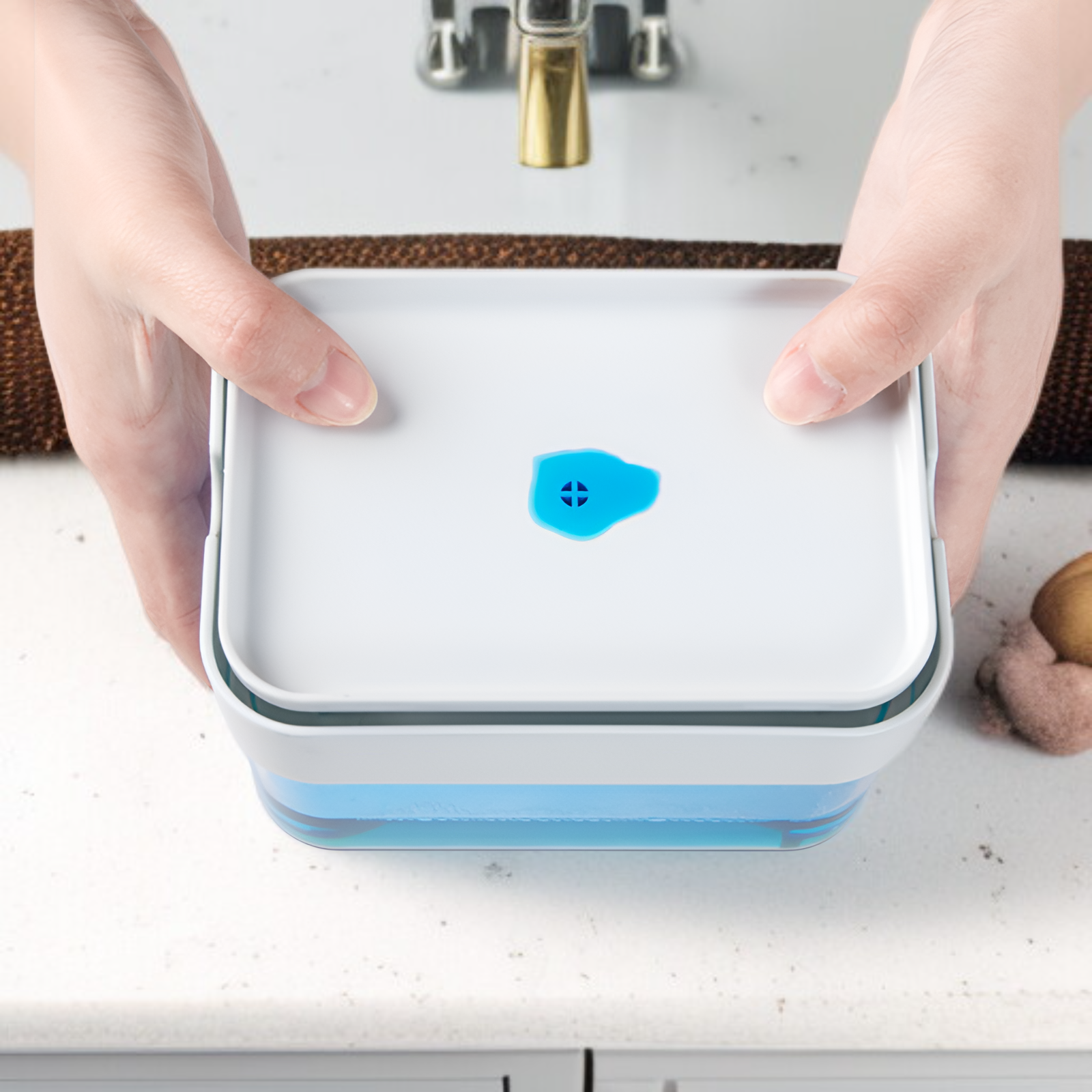 Press-type Kitchen Sink Dish Soap Dispenser with Drainage Sponge Holder