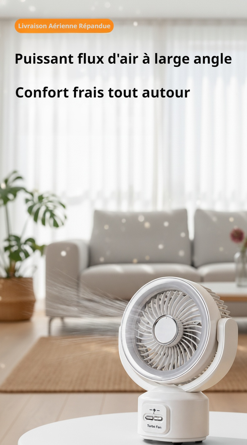 Ventilateur Lemiburg 2026 installé au plafond