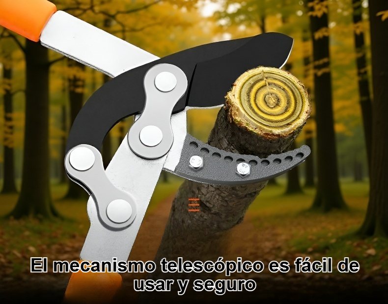Tijeras de podar telescópicas en uso