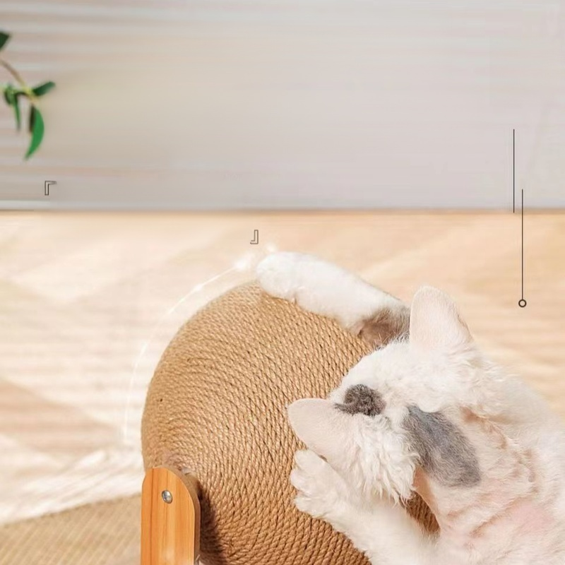 ยืนขึ้นแมว Scratch บอล