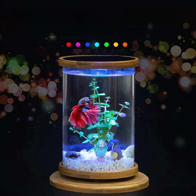 Drehbares Mini-Aquarium