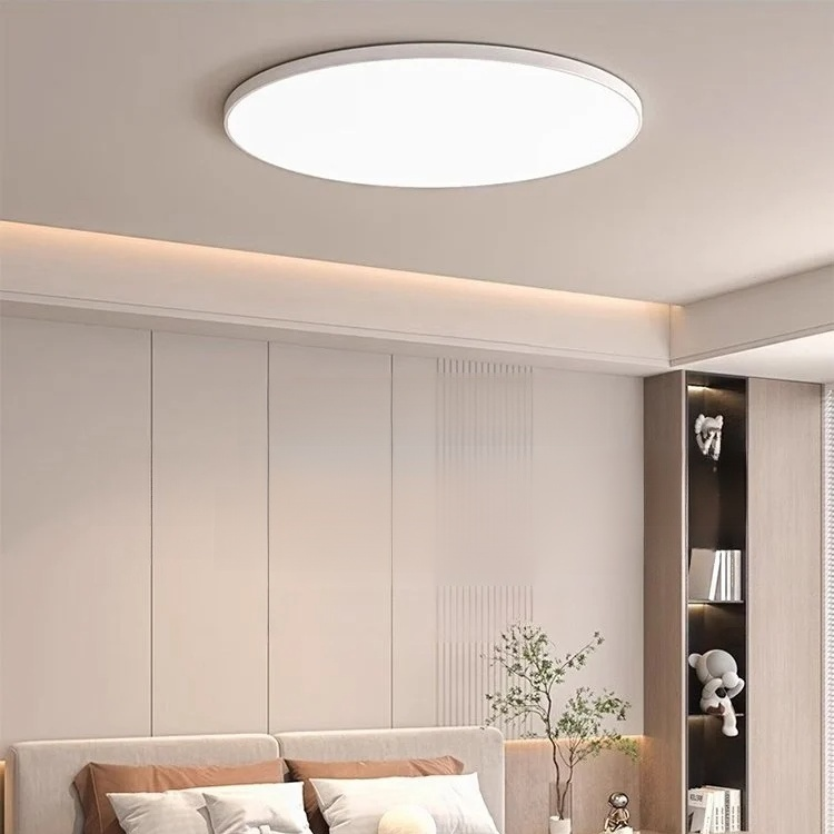 Entrance LED Ultra-thin Ceiling Light
