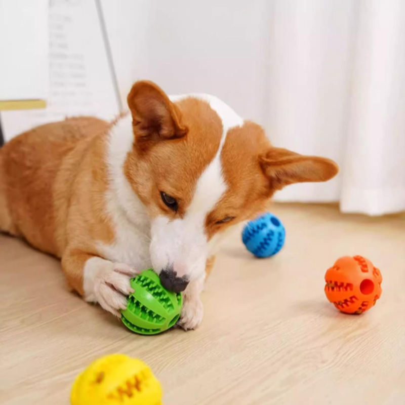 磨牙狗玩具