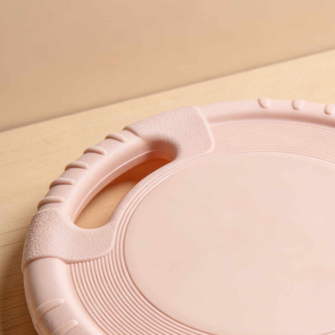 จานร่อนสำหรับสุนัขและแมว