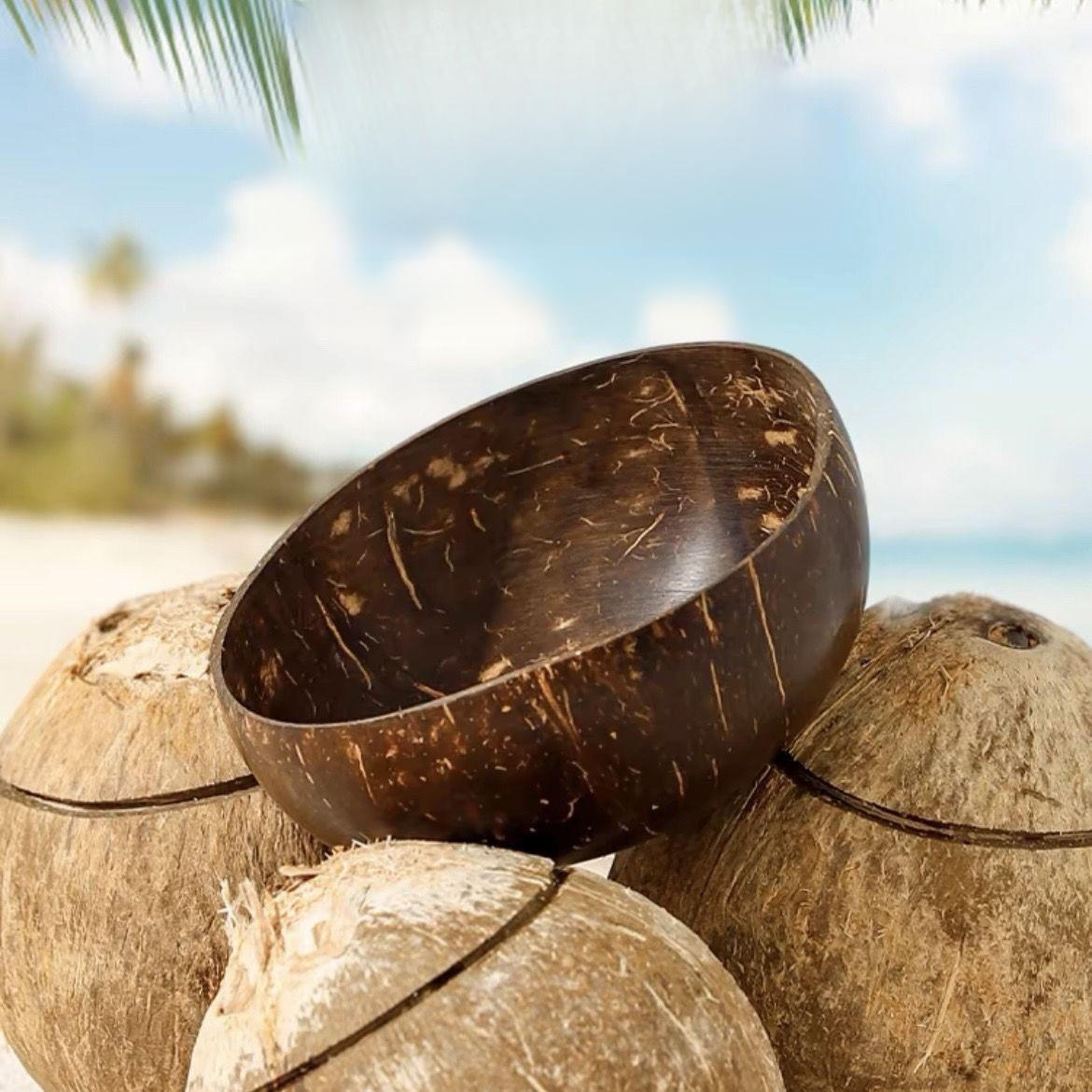 Wooden Coconut Shell Bowl