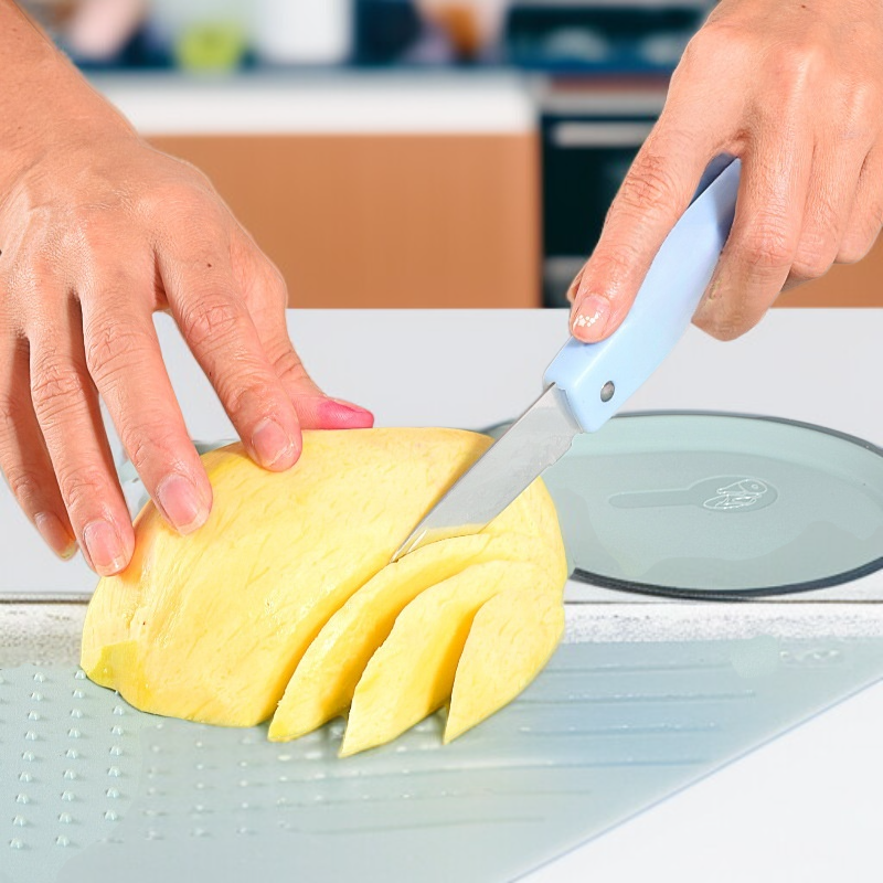 Foldable Portable Stainless Steel Paring Knife for Fruit and Kitchen Use