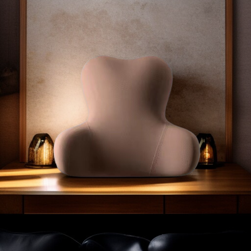 차량용 다기능 목베개 허리쿠션 목 허리 보호 쿠션