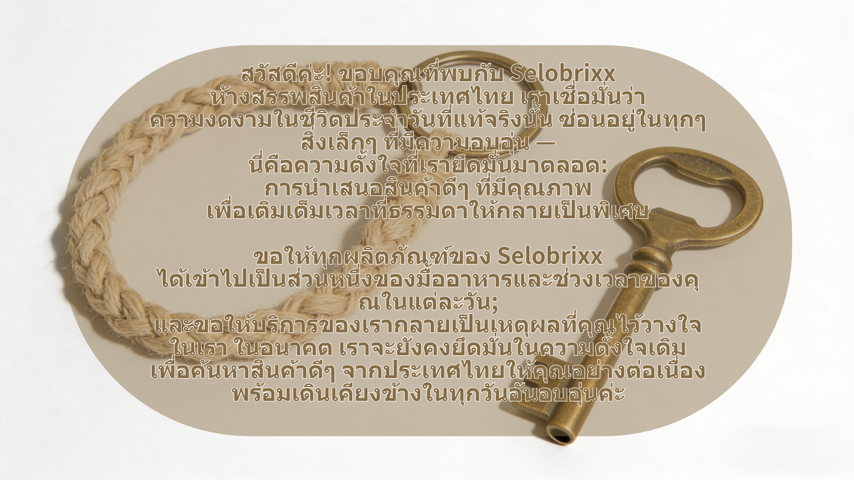 selobrixx.com