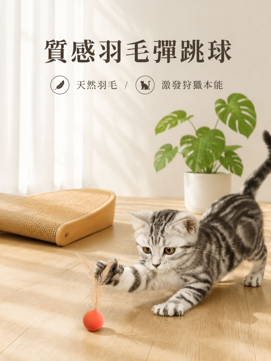 寵物貓羽毛彈跳球