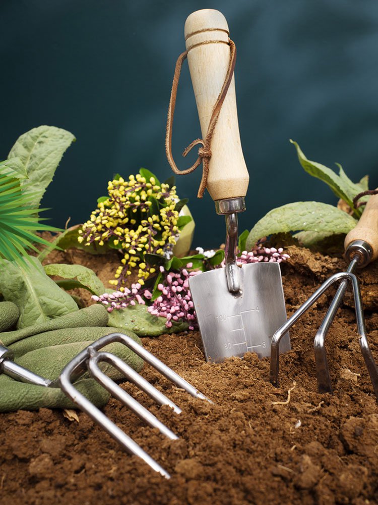 Tu Tienda Segura en México