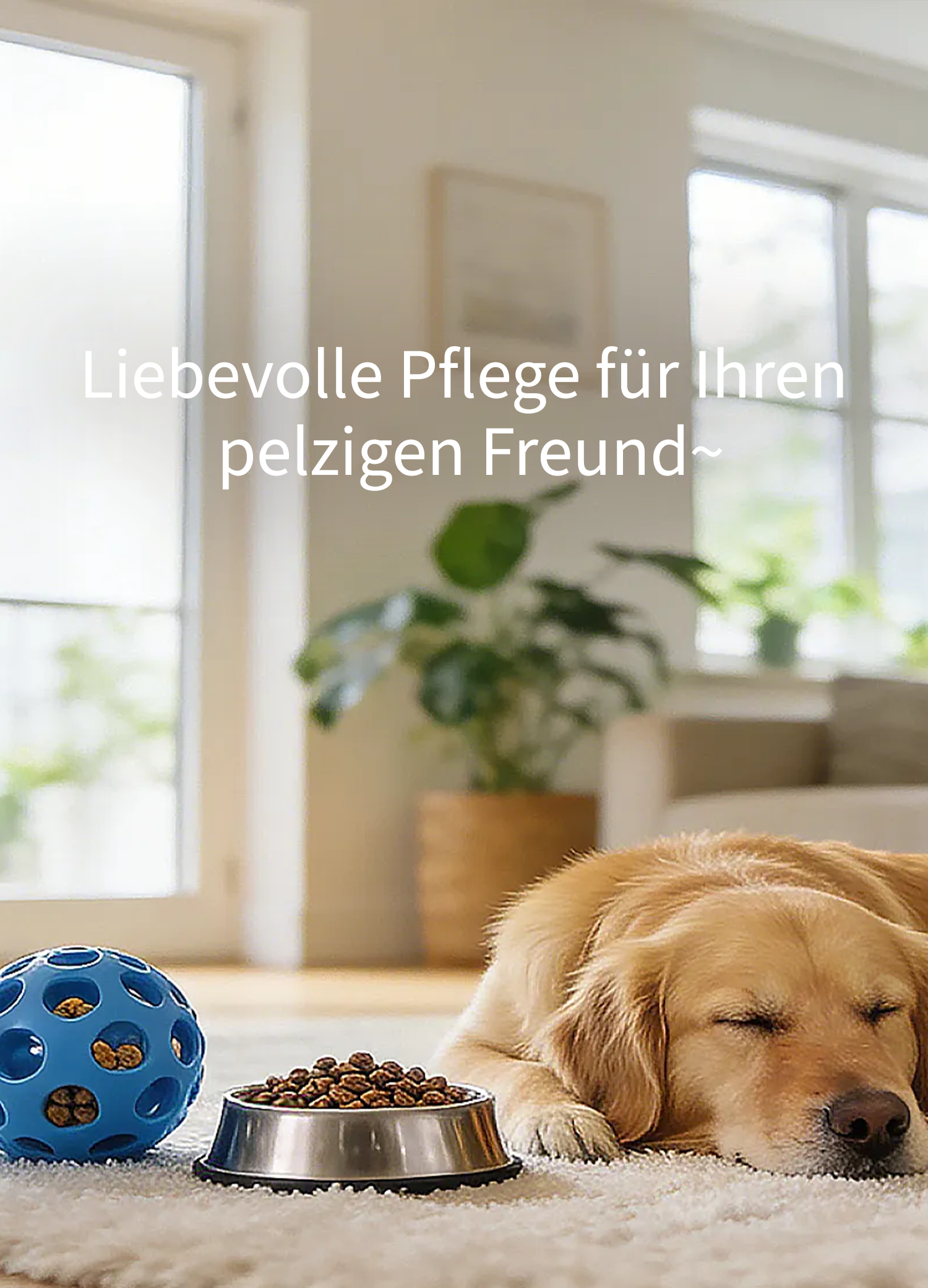 Online-Einkaufszentrum