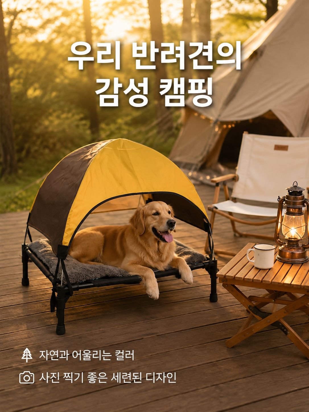야외 방풍 애완동물 텐트, 강아지와 고양이용