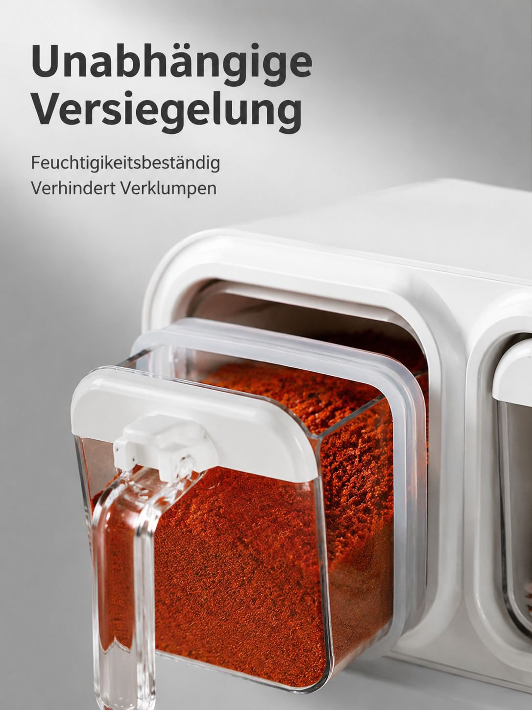 Verschiedene Gewürze ordentlich in der Aufbewahrungsbox sortiert