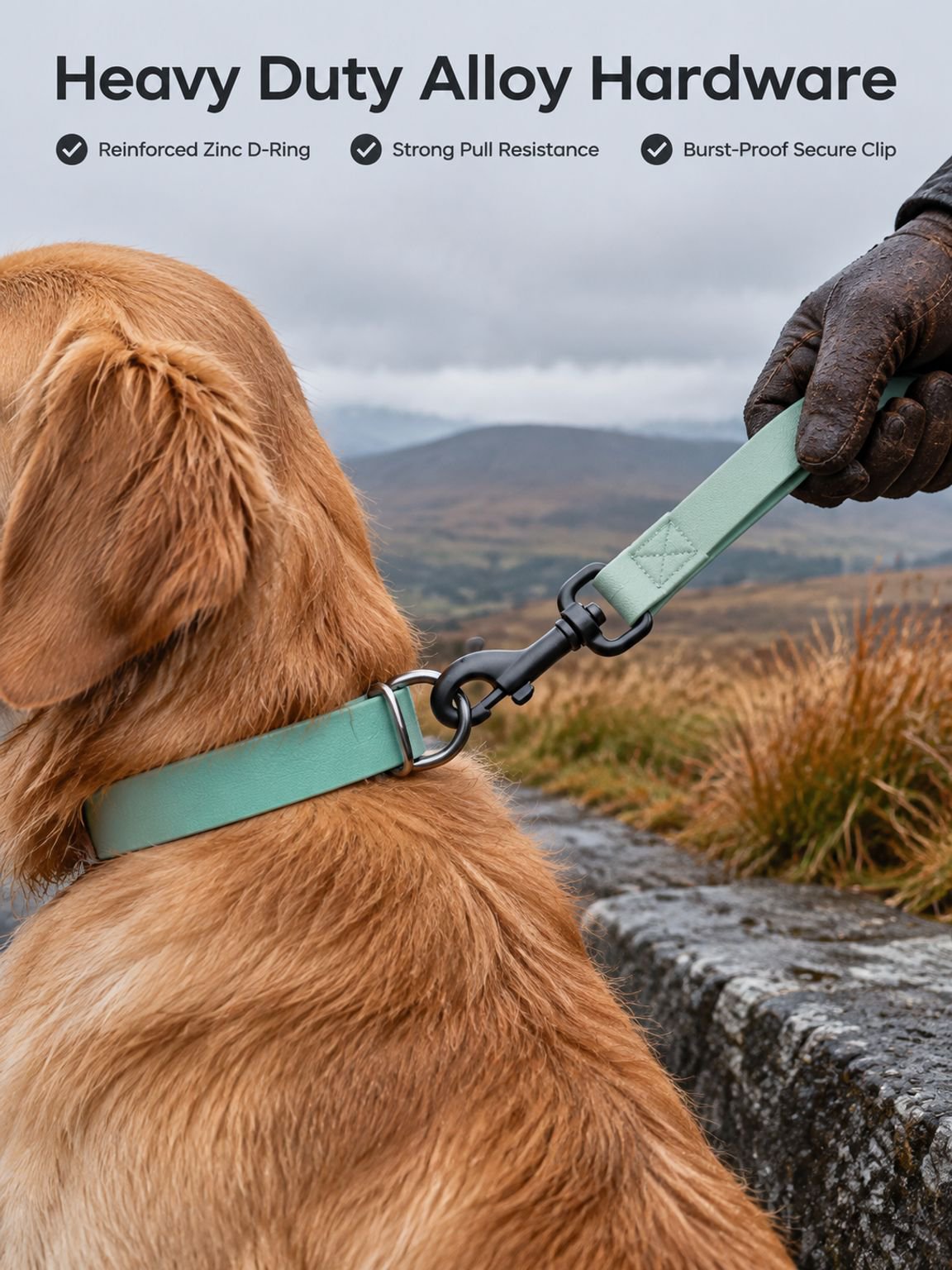 PVC Dog Collar Leash D-Ring Buckle
