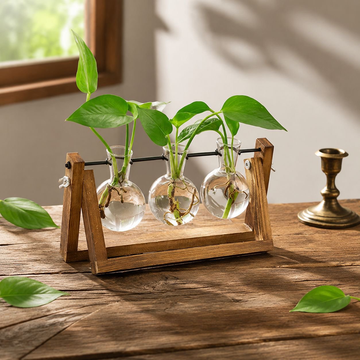 Jarrón de vidrio moderno para hidroponía, ideal para decoración de oficina y hogar