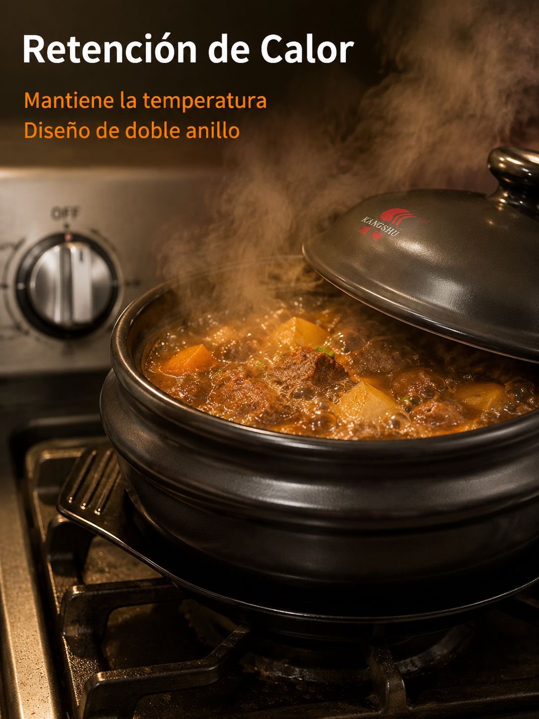 Olla de cerámica y piedra