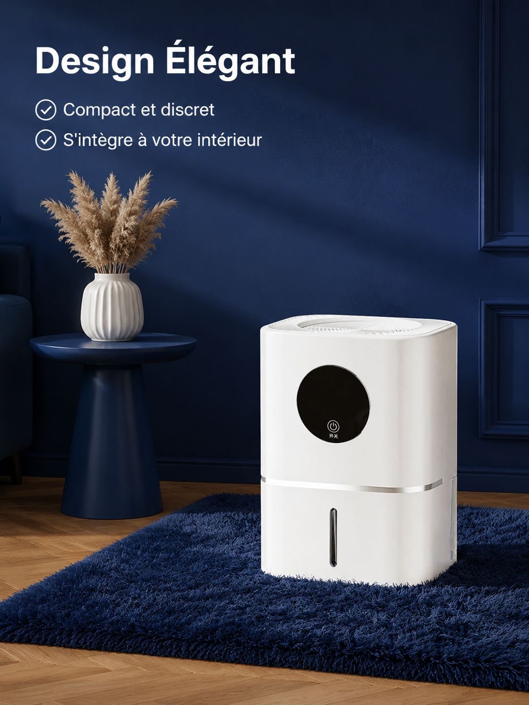 Déshumidificateur d'air domestique pour absorber l'humidité