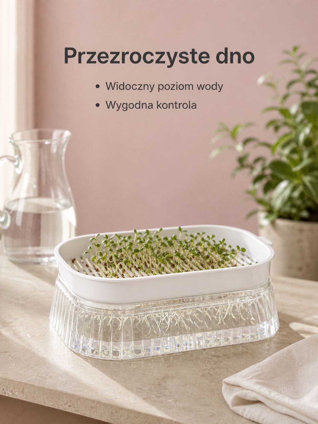 Pojemnik do uprawy kiełków wodnych