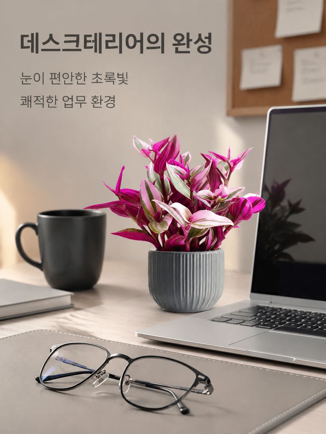 보라색 거미 식물