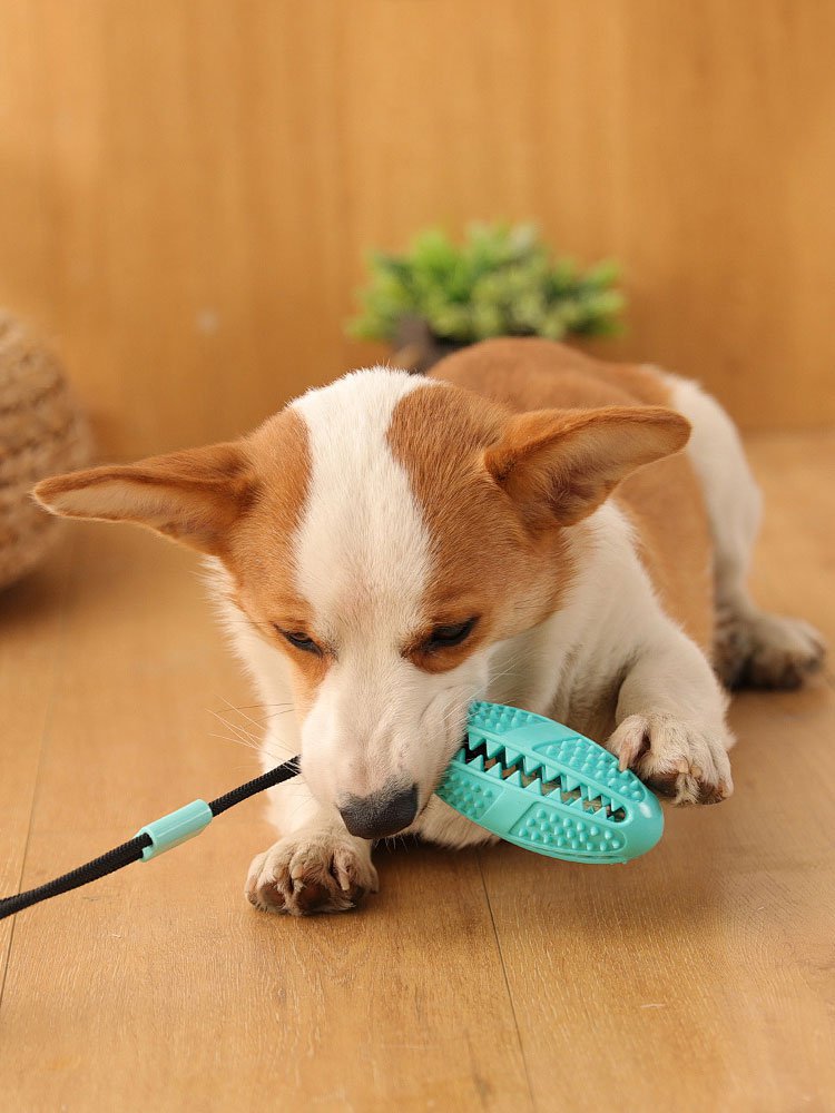 ศูนย์การค้าออนไลน์