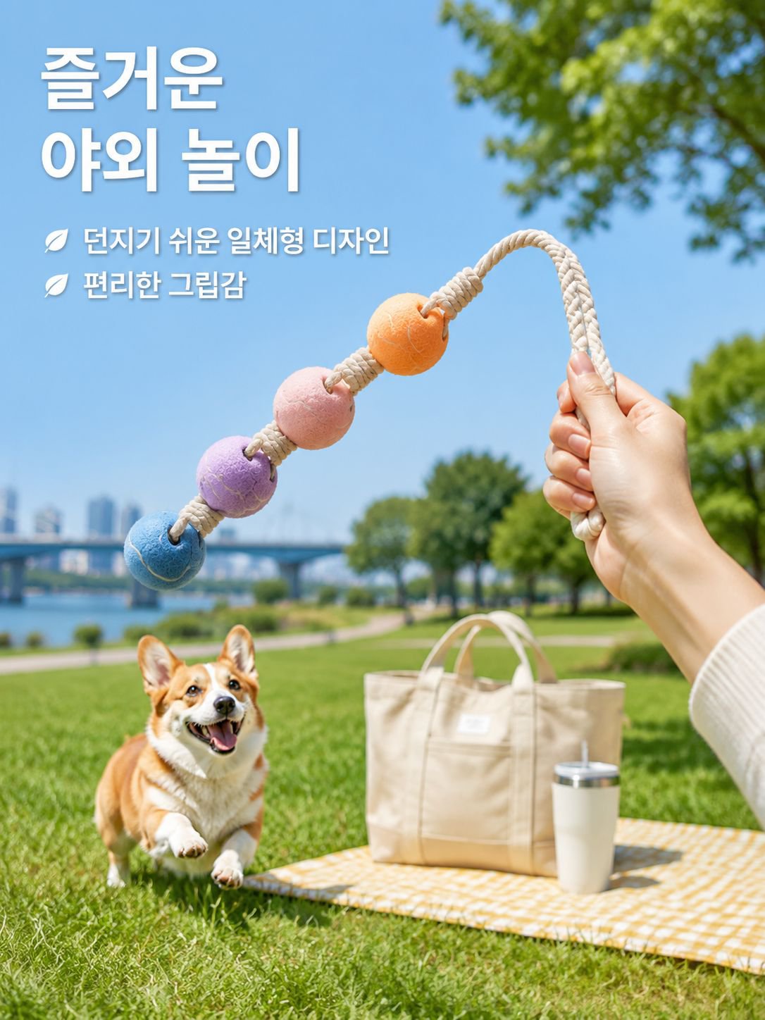 반려동물 치아 청소 인터랙티브 테니스