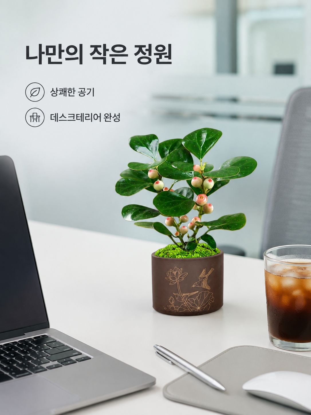 보리수 분재