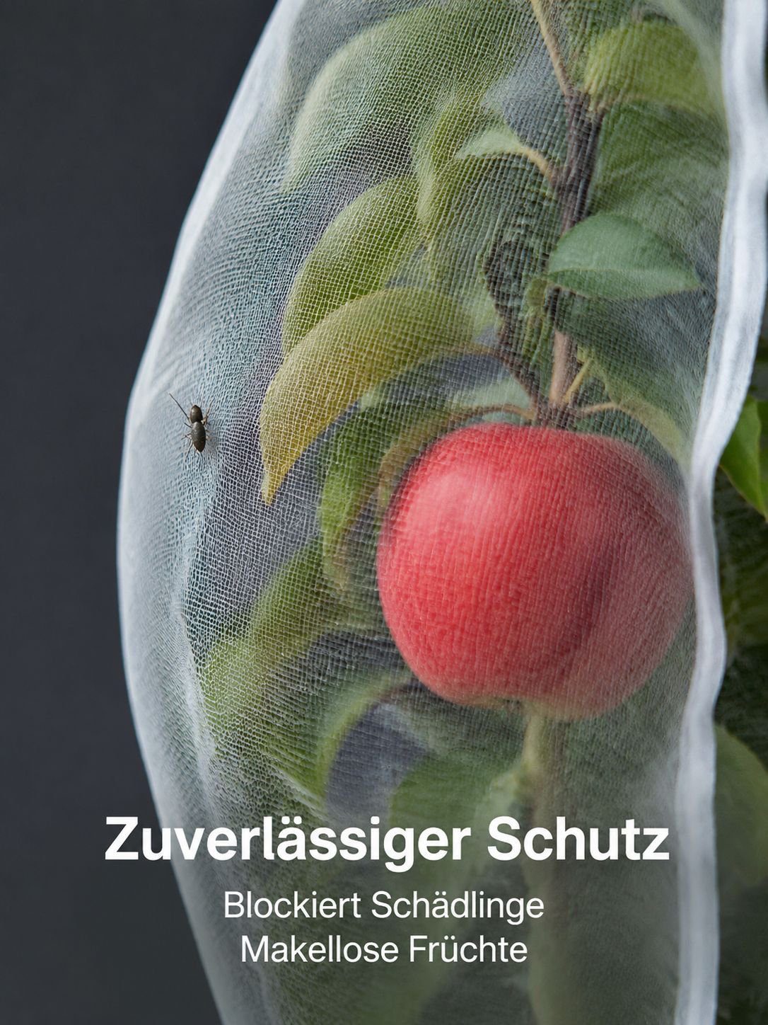 Detail des feinen Netzes als Insektenschutz