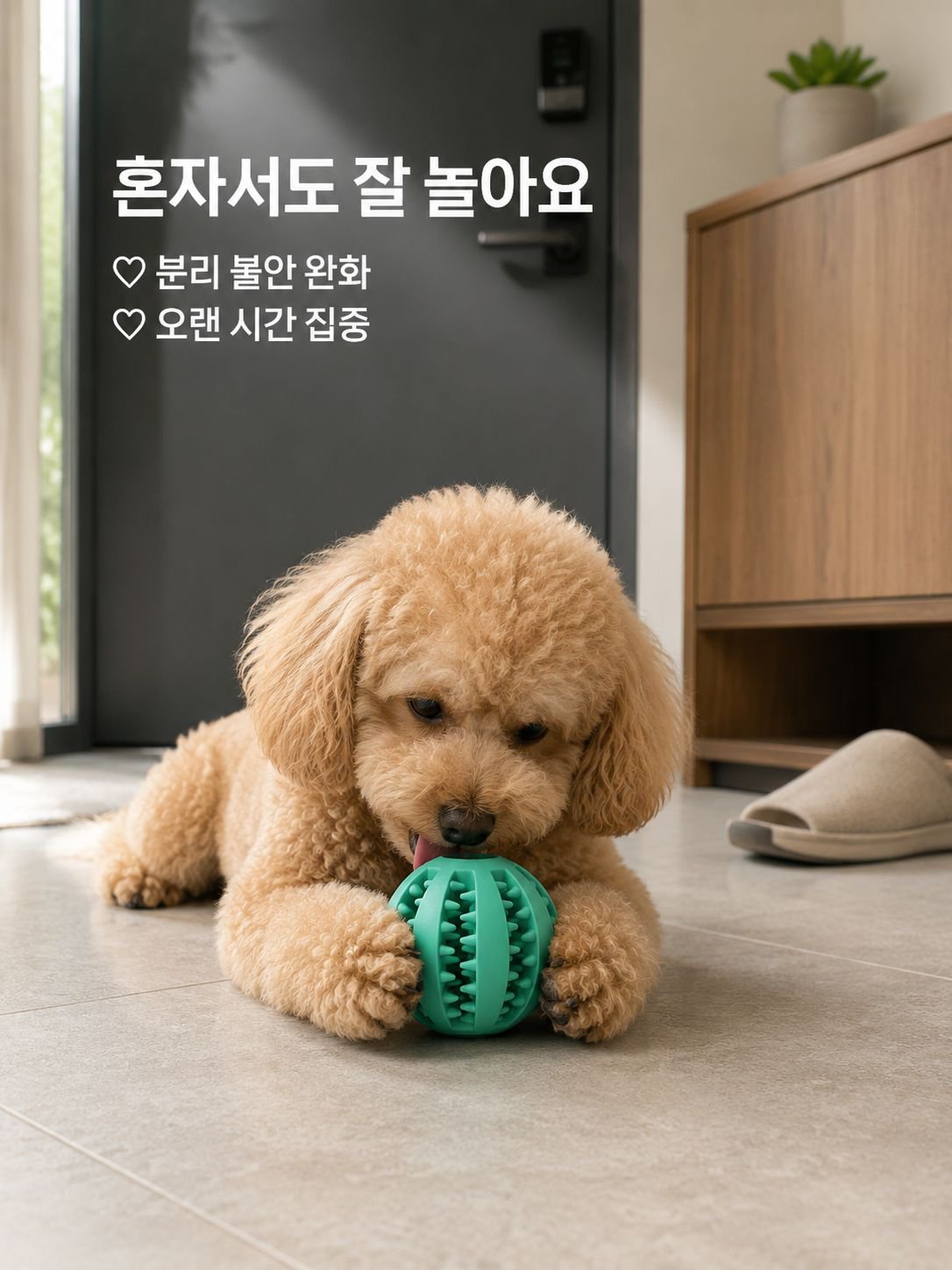 애완견이 공 장난감을 씹다