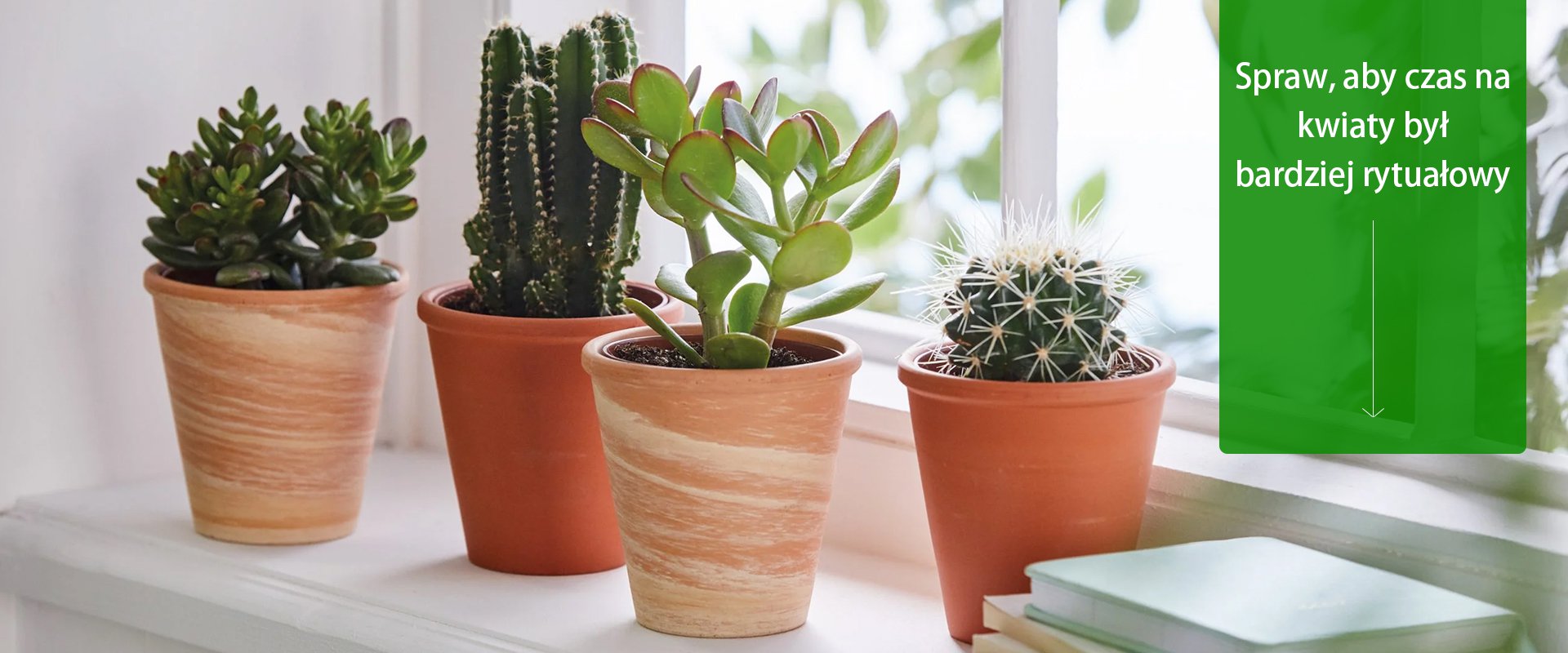 Internetowe centrum handlowe