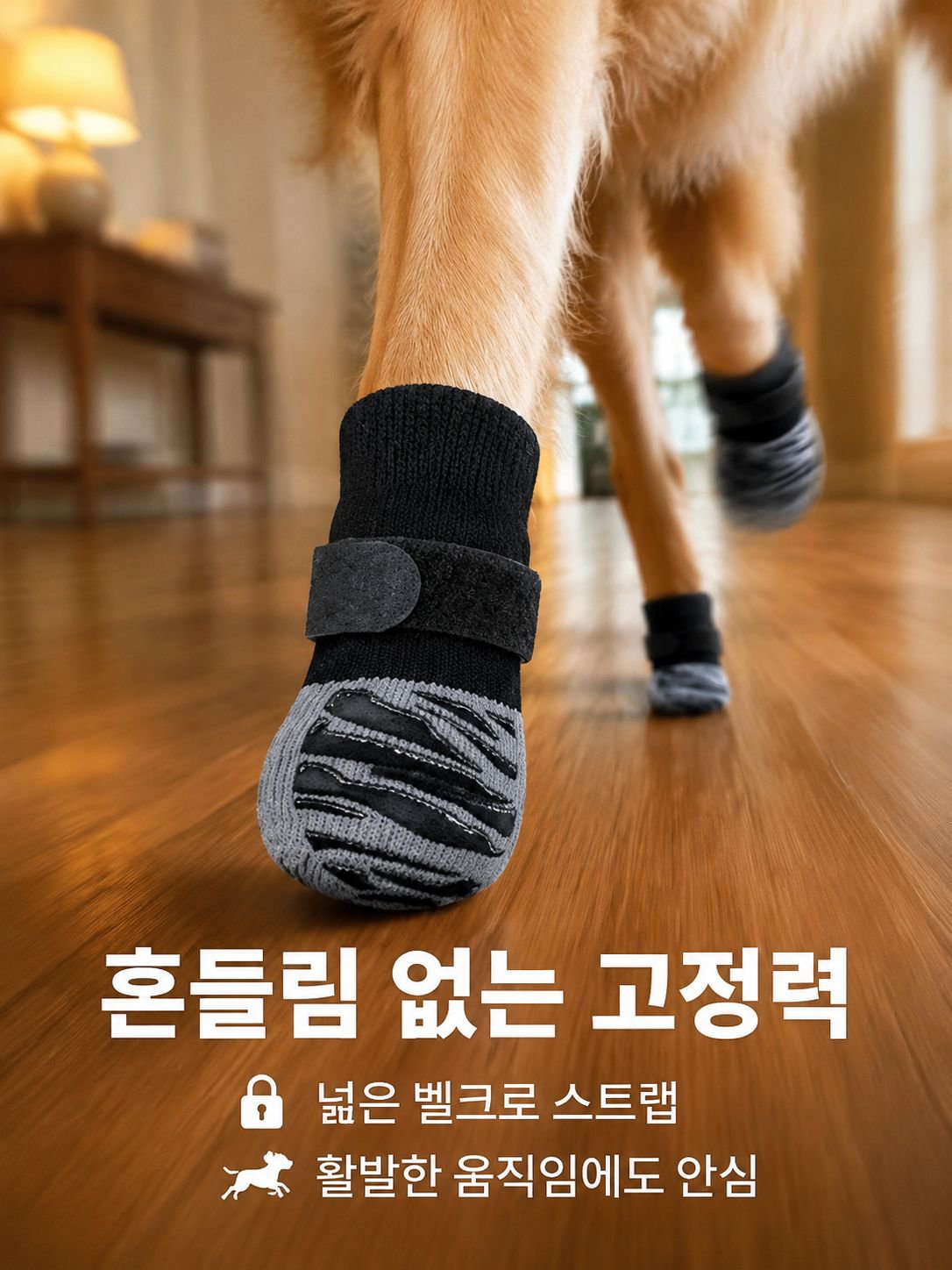 애완용 양말