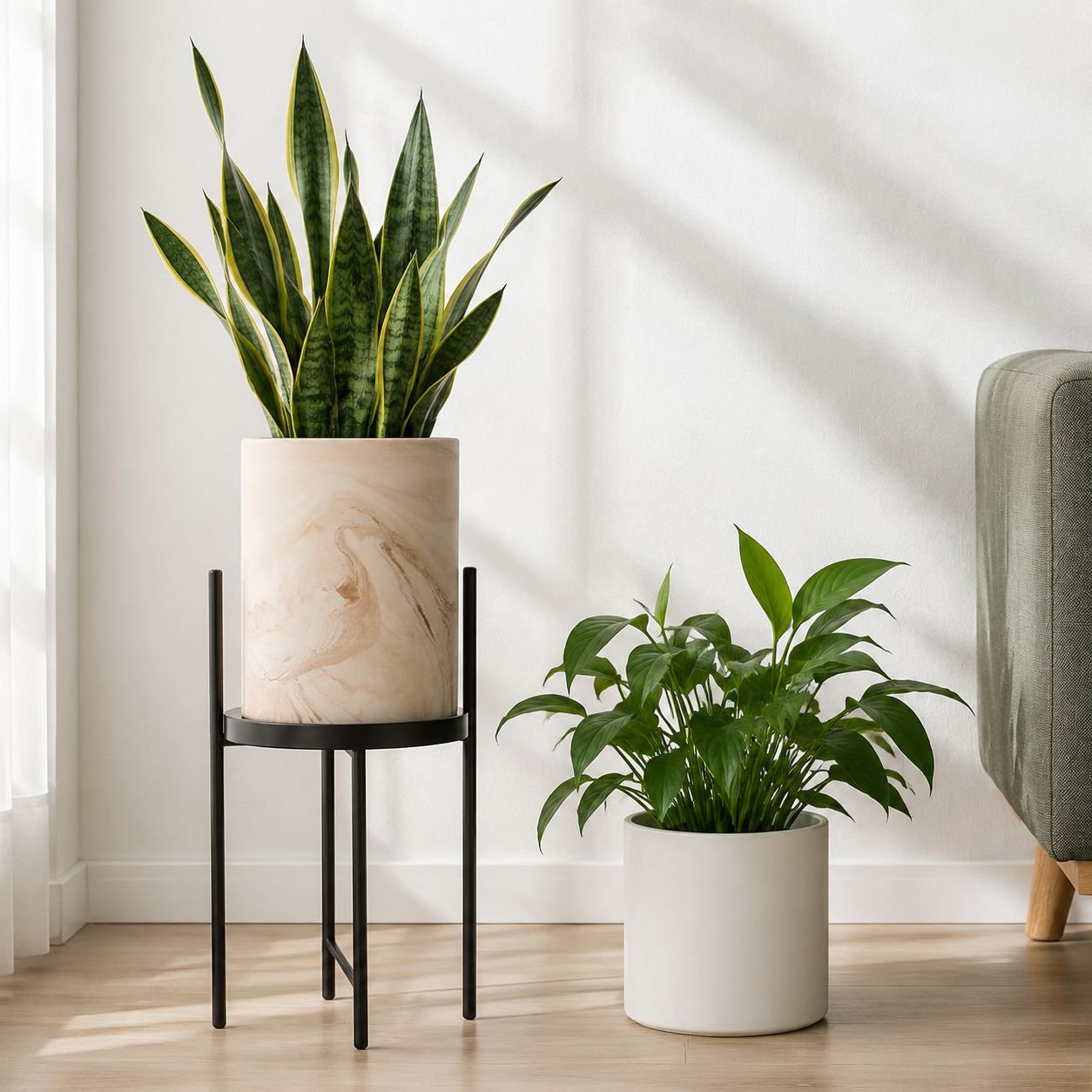 Houseplant in German ceramic pot for indoor use