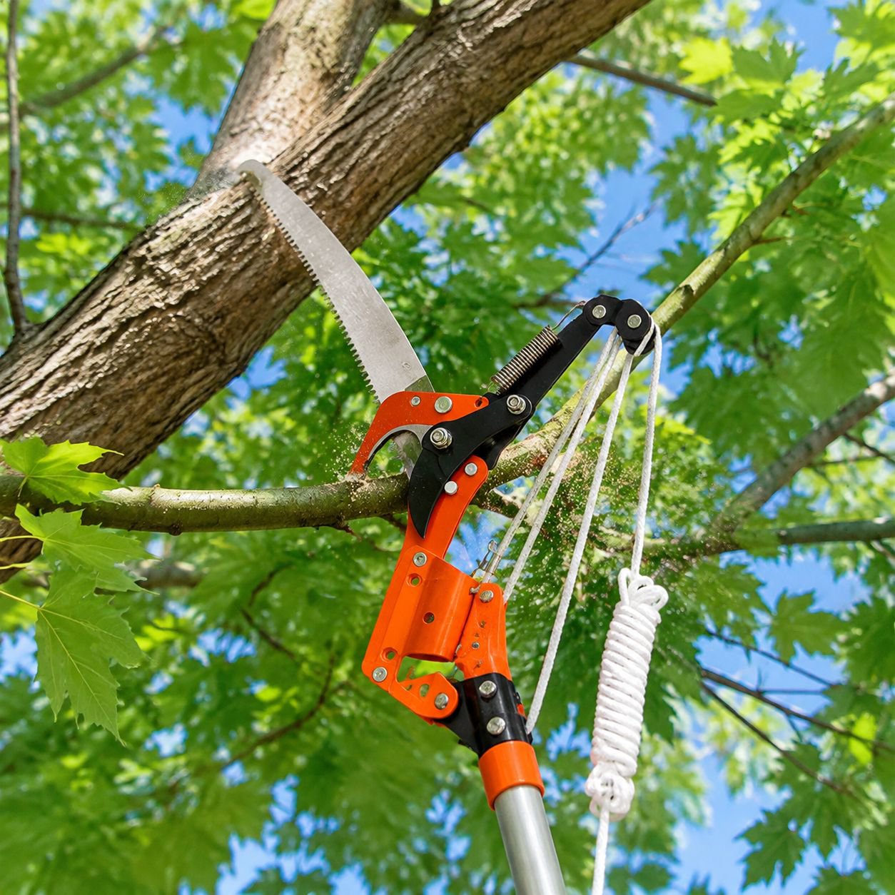 Telescopic Pulley Pruner & Saw Combo