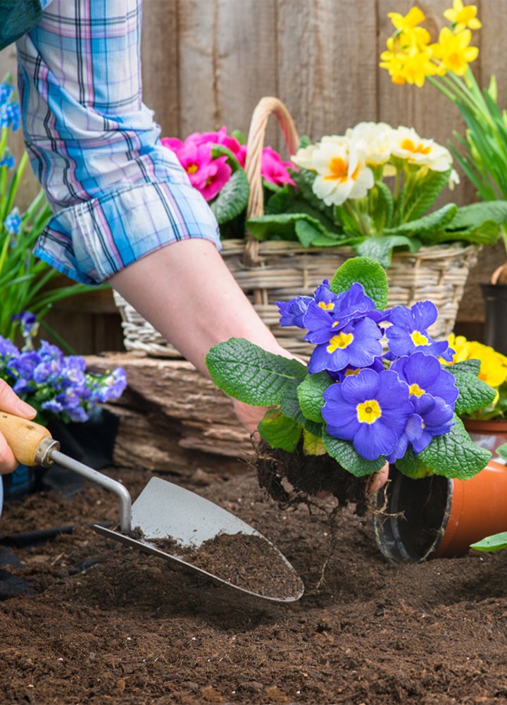 オンラインショッピングモール