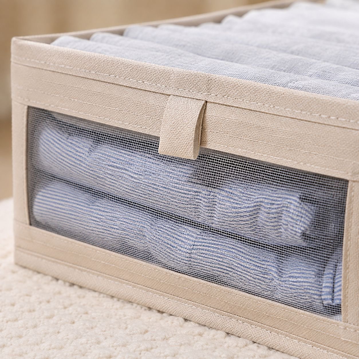 Home closet with organized underwear using storage box