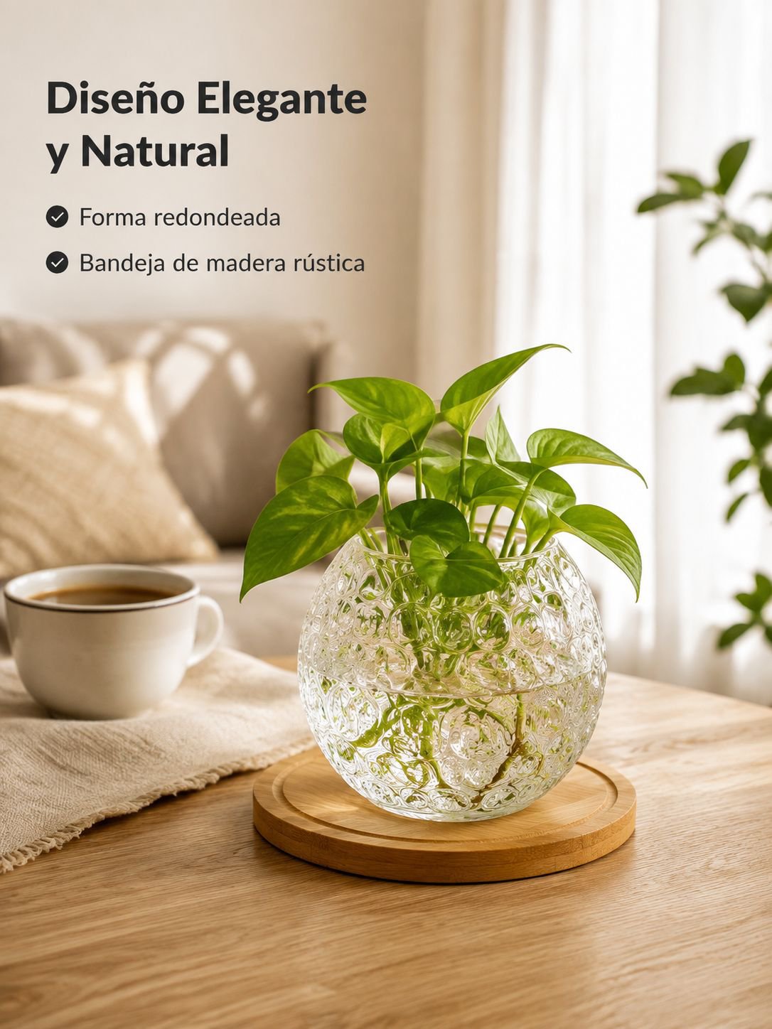 Regadera para plantas de interior