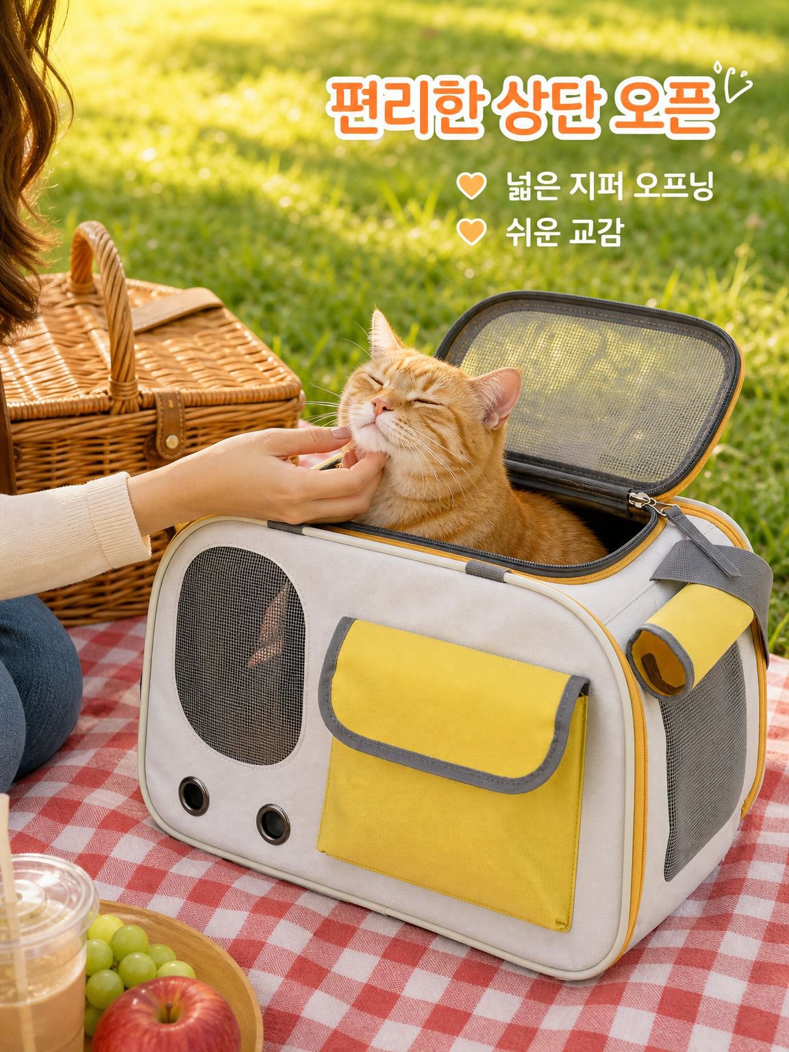 휴대용 반려동물 통풍 백팩
