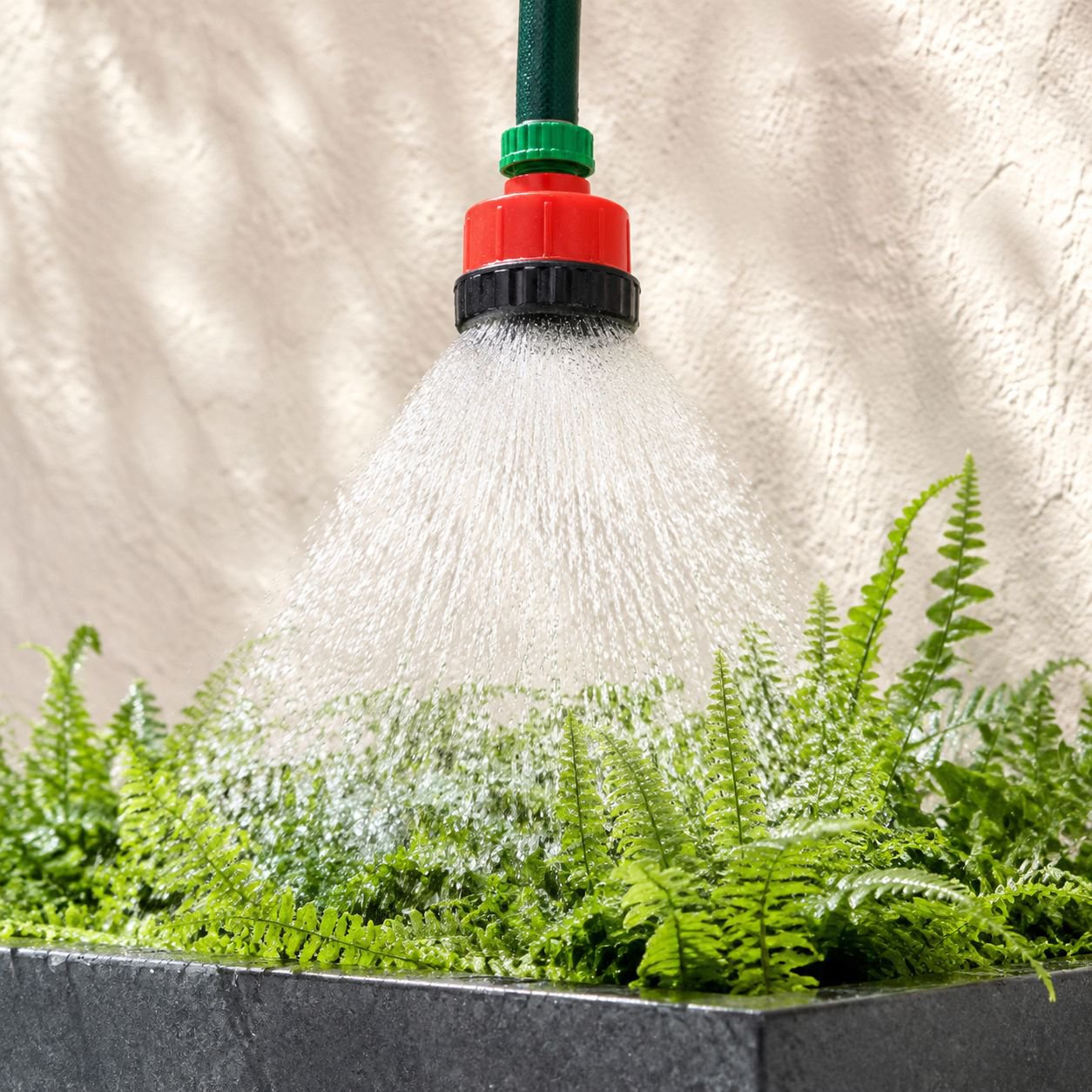 Arrosage efficace des plantes avec buse à grille