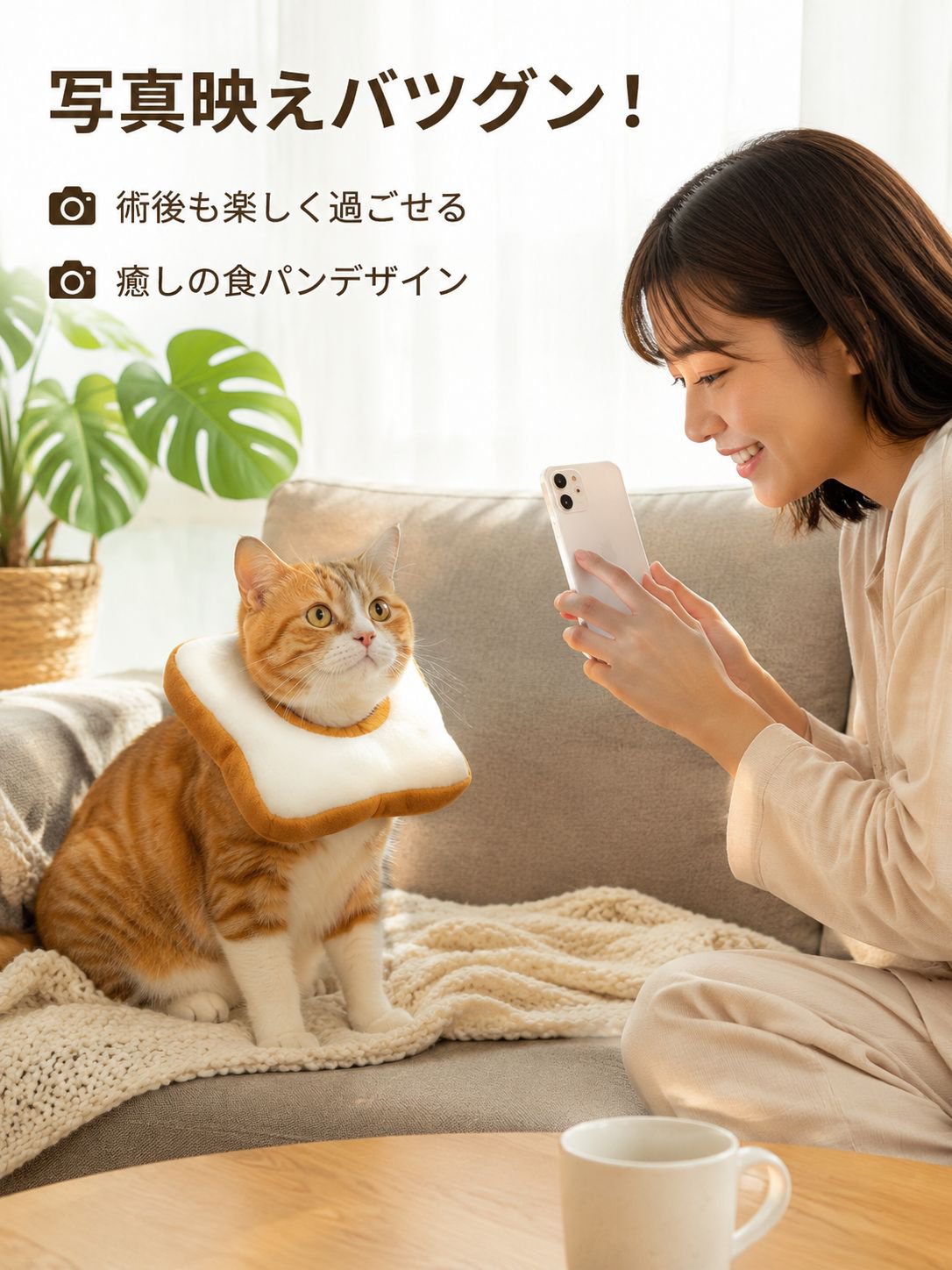 猫犬専用術後なめ防止首輪