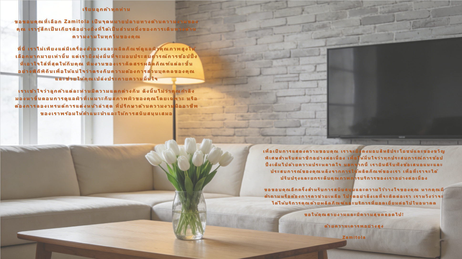 zamitola.com