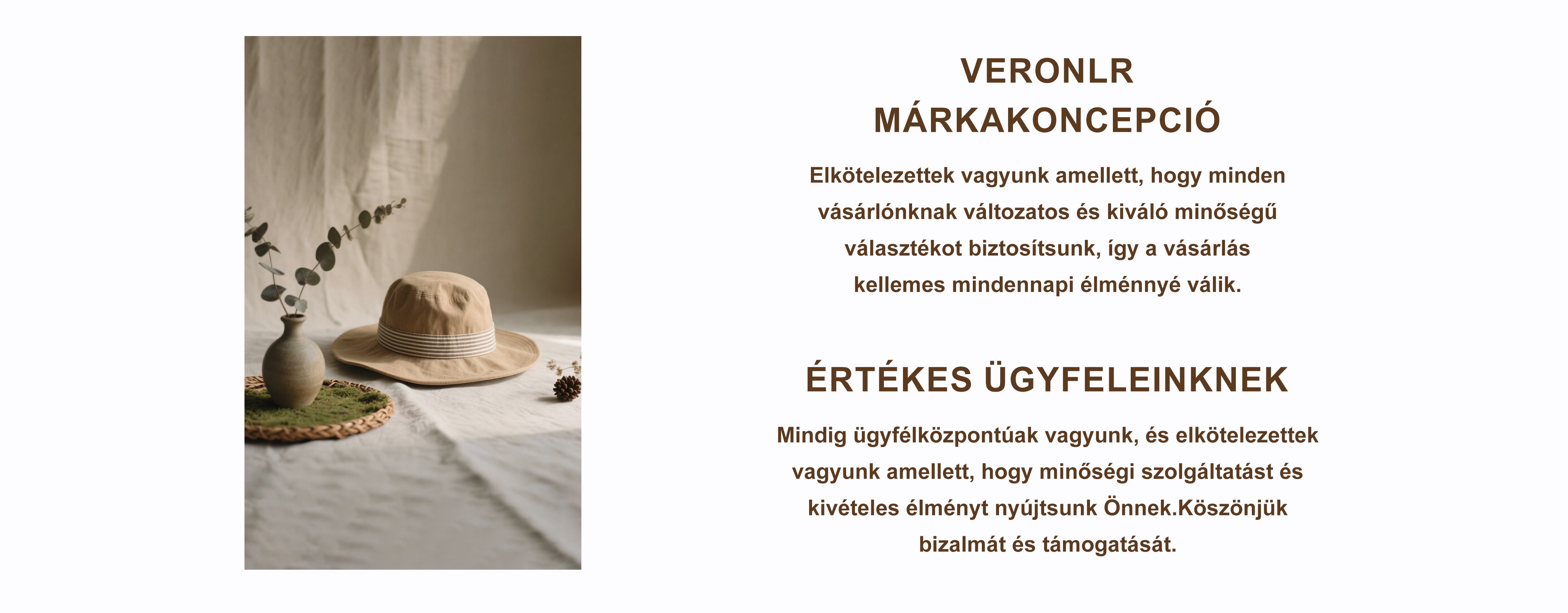 veronlr.com