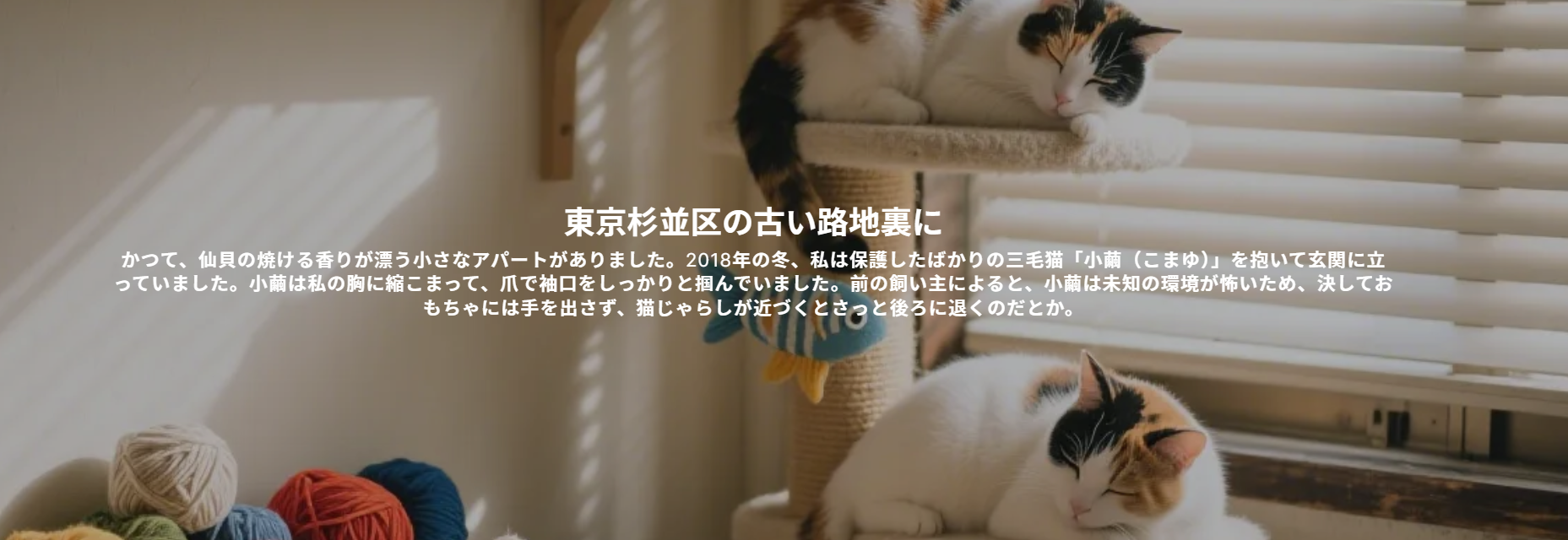 온라인 쇼핑몰