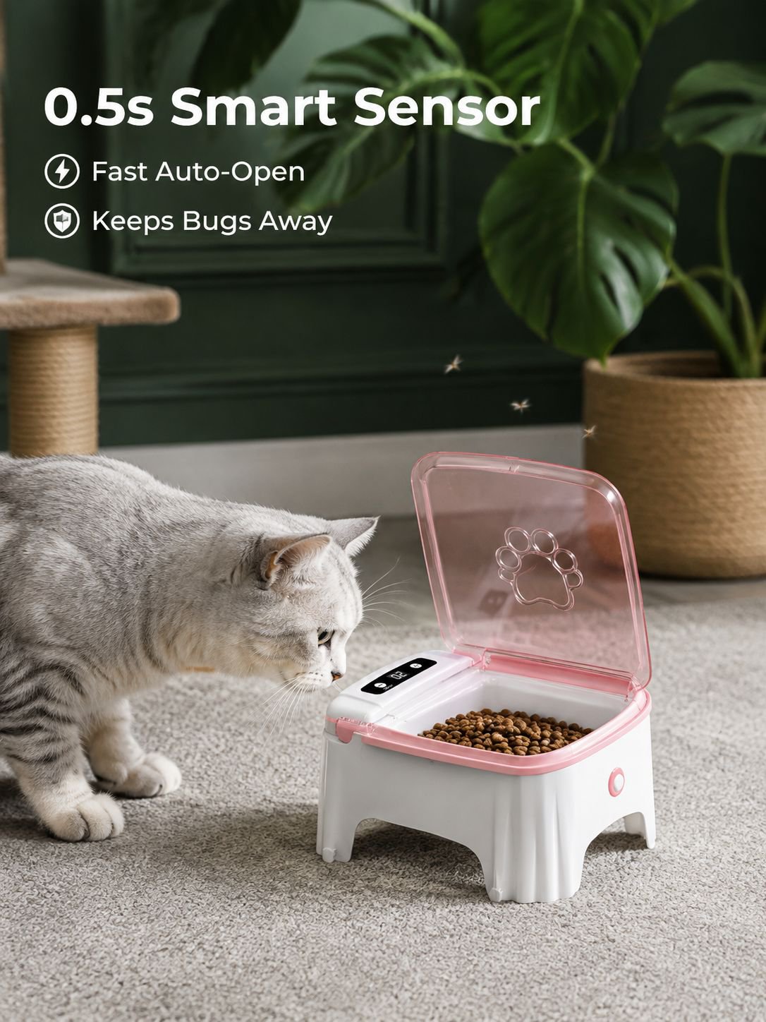 Automatic pet feeder dispensing dry food for a cat