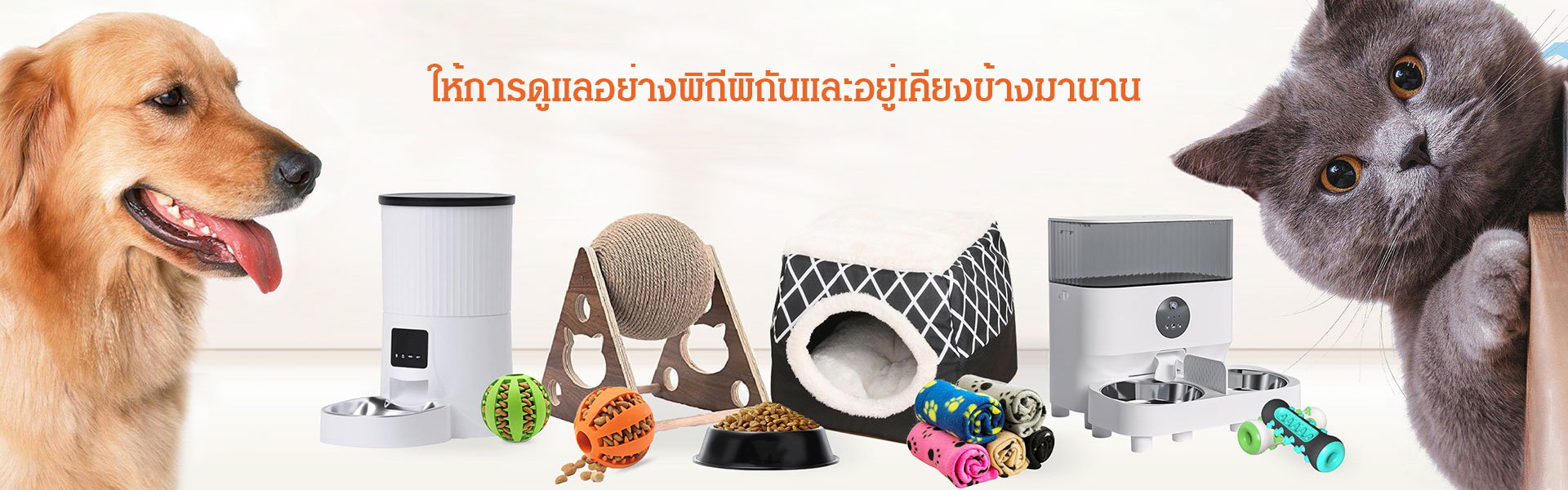 ศูนย์การค้าออนไลน์