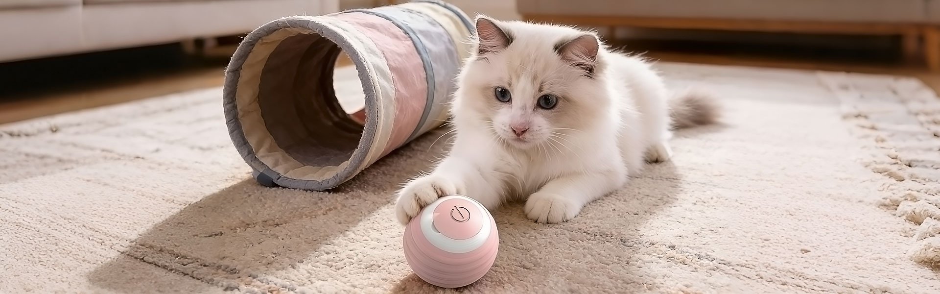 Centre commercial en ligne