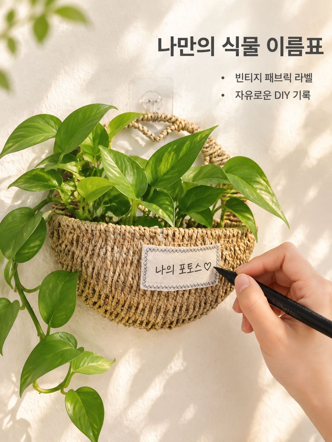 포토스 및 관엽식물용 벽걸이형 화분