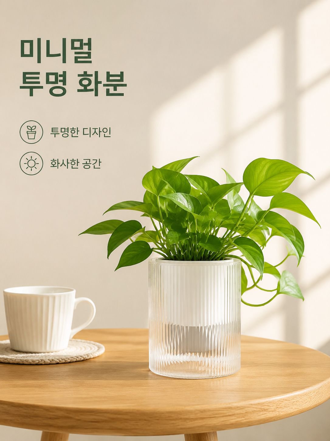 자동 수분 흡수 투명 화분
