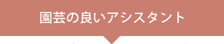 lakuheya.com